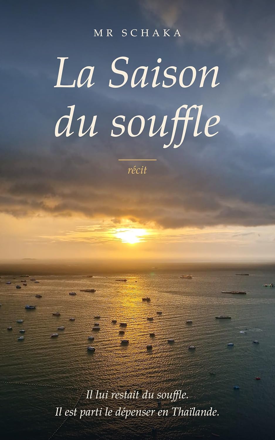 Couverture de La Saison du souffle